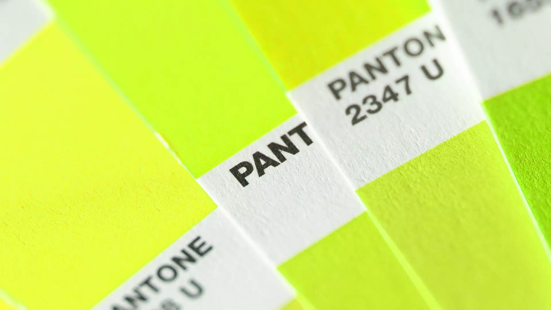 Redkiwi Blogpost Theory of colour header