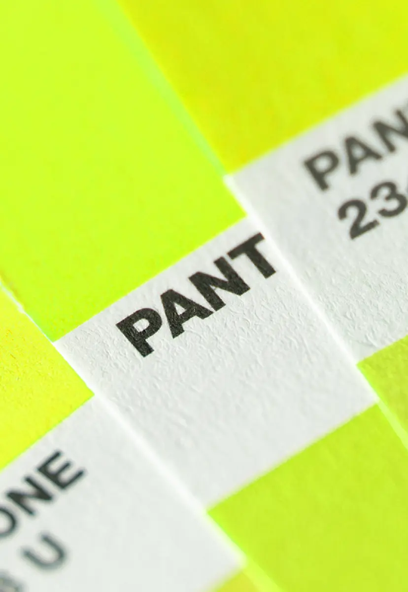 Redkiwi Blogpost Theory of colour header