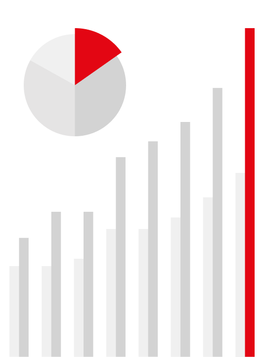 Redkiwi Merk audit