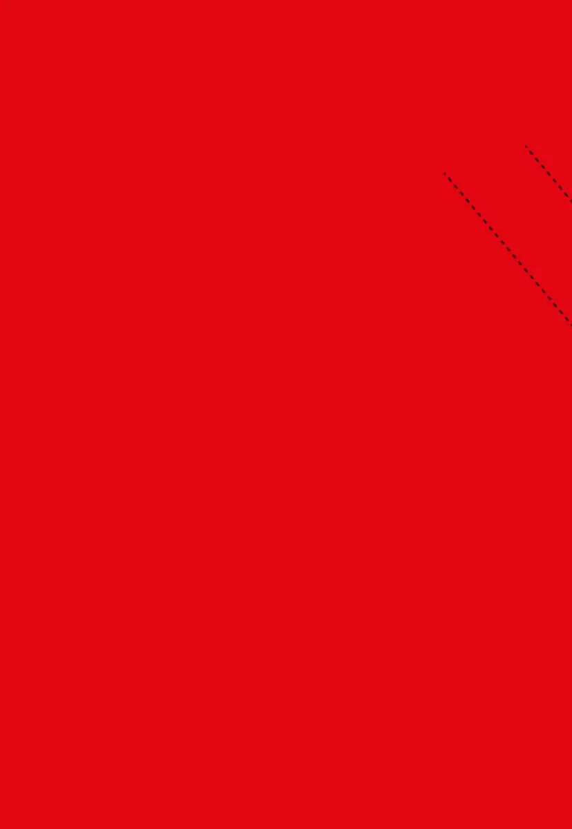 Redkiwi Branding header image